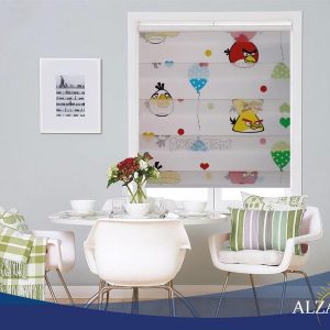 Zebra blinds